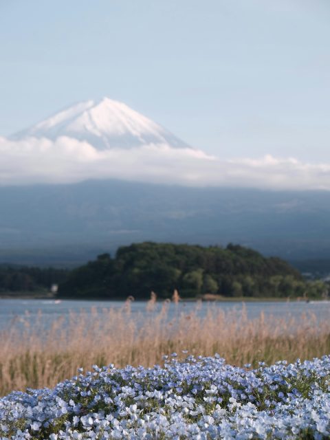 Mount Fuji Japan Scenery